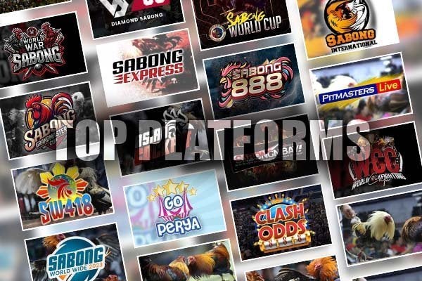 Nangungunang Platform para sa Sabong